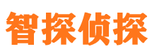 增城市私家侦探